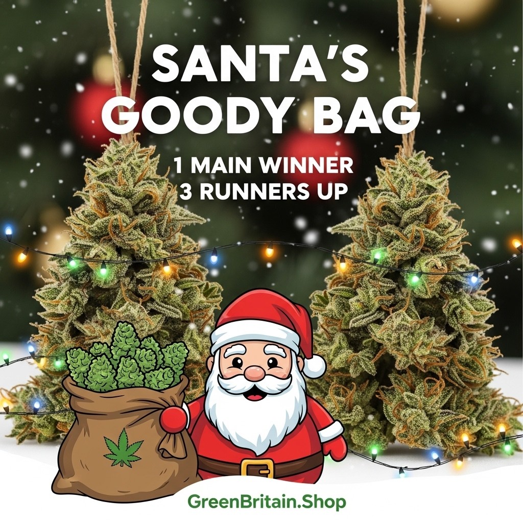 SANTAS GOODY BAG